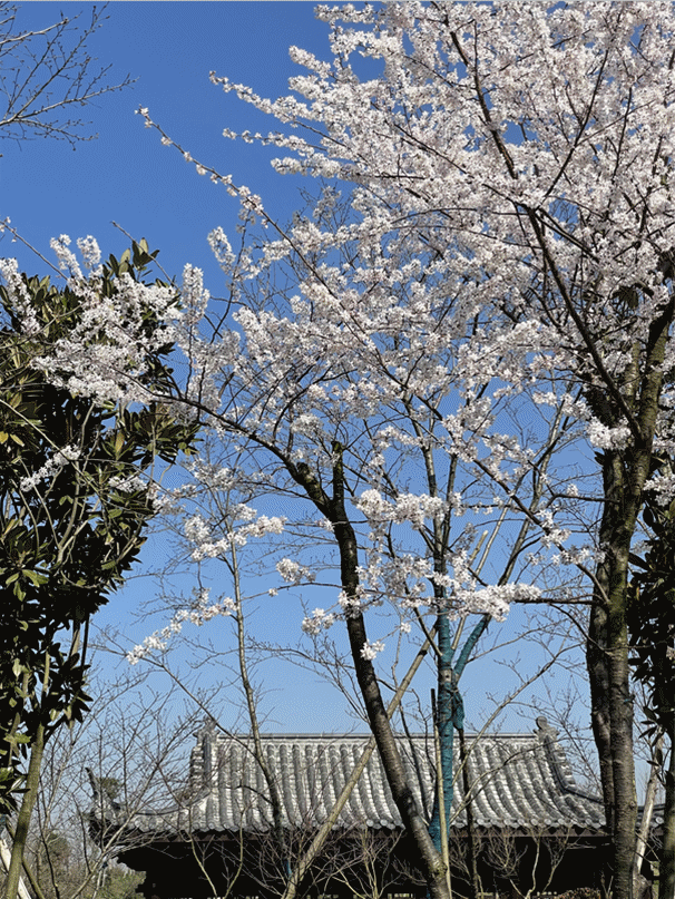 攻略荆门旅游的地方_荆门旅游攻略_攻略荆门旅游路线