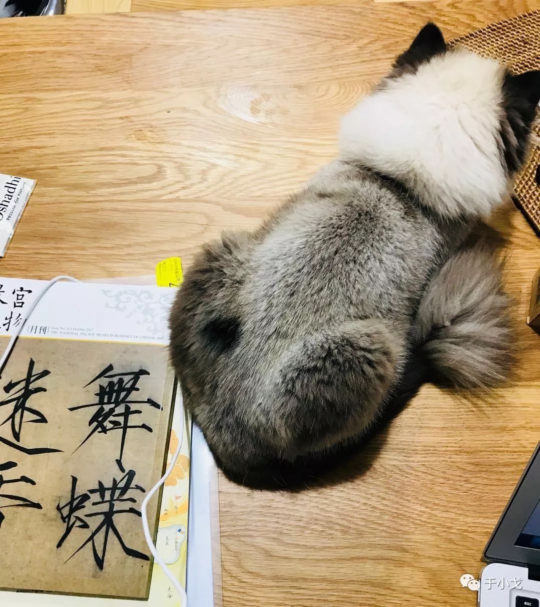 时尚电影 比穿prada的女女魔头更好_时尚女魔头的经典台词_时尚女魔头的电影