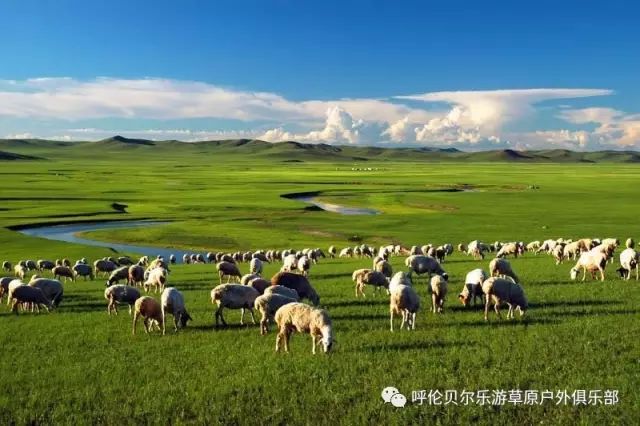 呼伦贝尔游记攻略_去呼伦贝尔旅游自助游攻略_呼伦贝尔旅行攻略