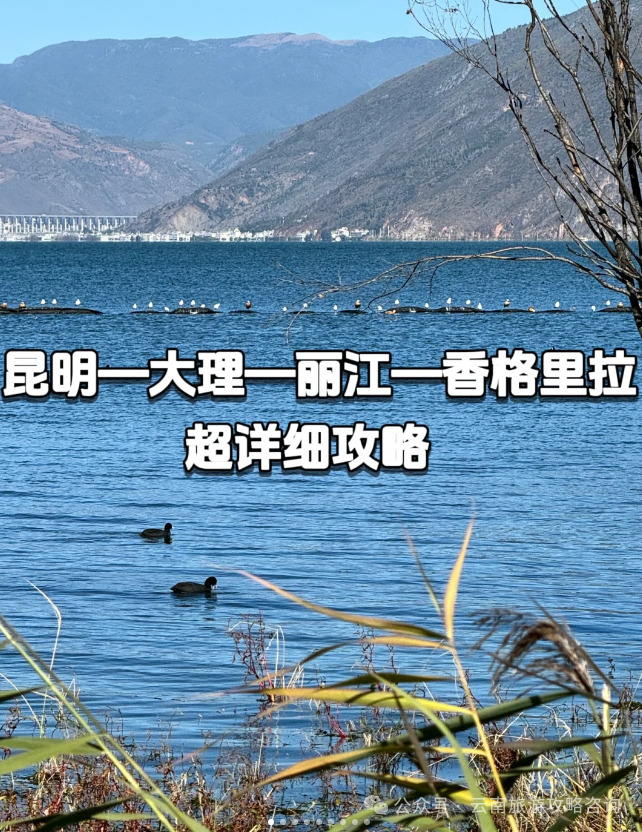 去玩儿过大理古城的旅游攻略_大理古城好玩_云南大理古城游玩攻略