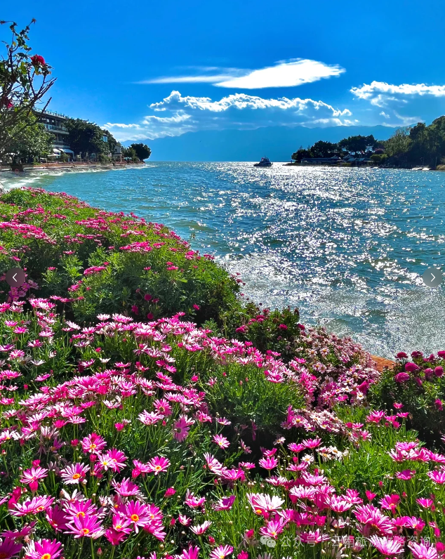 大理古城好玩_云南大理古城游玩攻略_去玩儿过大理古城的旅游攻略