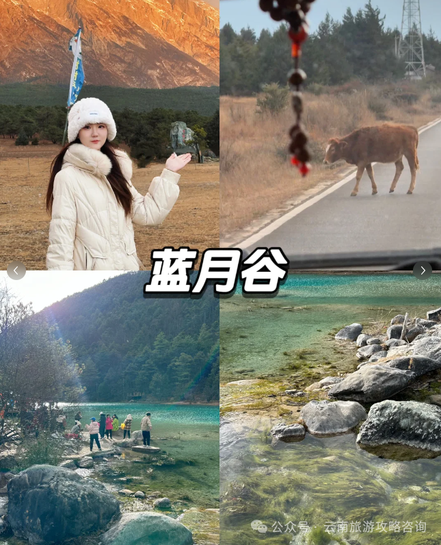 大理古城好玩_云南大理古城游玩攻略_去玩儿过大理古城的旅游攻略