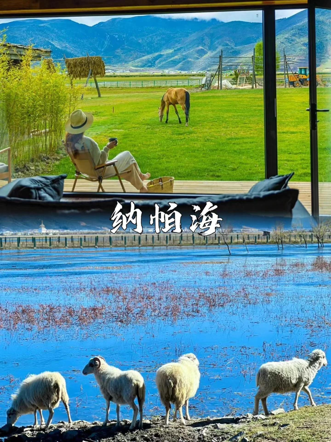 大理古城好玩_去玩儿过大理古城的旅游攻略_大理古城游玩路线