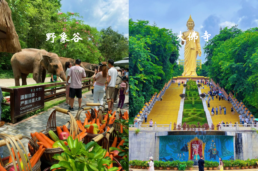 大理古城游玩路线_大理古城好玩_去玩儿过大理古城的旅游攻略