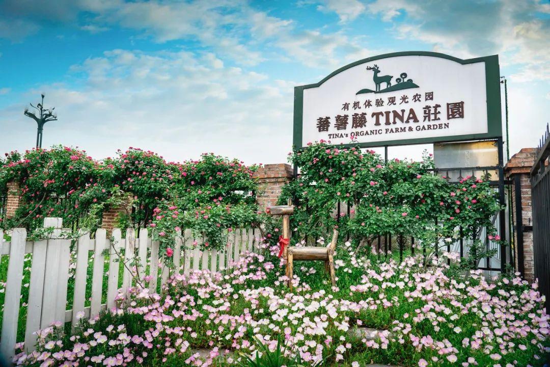 新津老君山简介_新津老君山旅游攻略_新津老君山风景区怎么样