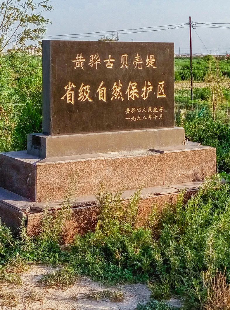海上田园旅游攻略_海上田园_海上田园玩什么