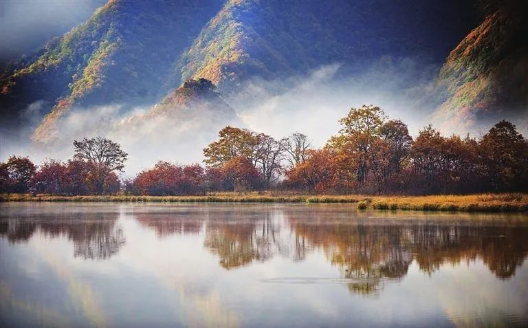 宜昌到神农架旅游攻略-宜昌到神农架三日游(图10) 宜昌到神农架一日游_宜昌到神农架三日游_宜昌到神农架旅游攻略