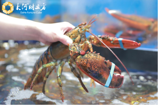 郑州时尚鲜花店-郑州附近的鲜花店电话(图3) 郑州鲜花批发联系电话_郑州时尚鲜花店_郑州附近的鲜花店电话