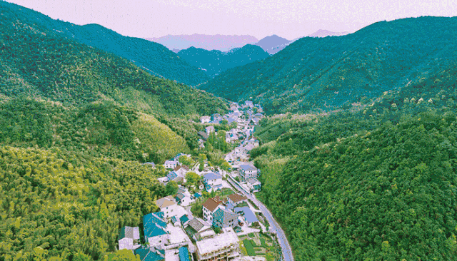 下渚湖旅游攻略_榜一先生总想给我花钱_艾力达国产仿制药