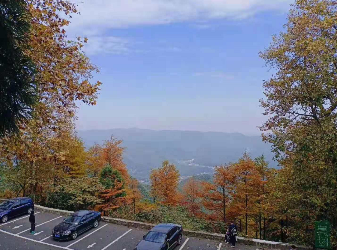 艾力达国产仿制药_榜一先生总想给我花钱_下渚湖旅游攻略