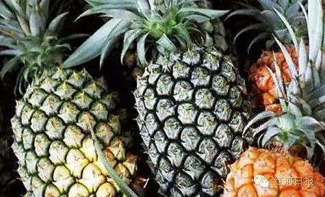 庆州旅游攻略-庆州景点(图19) 庆州景点_甘肃庆州旅游景点_庆州旅游攻略