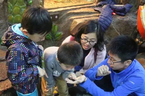 上海野生昆虫博物馆介绍_上海大自然野生昆虫馆旅游攻略_上海昆虫馆开放时间