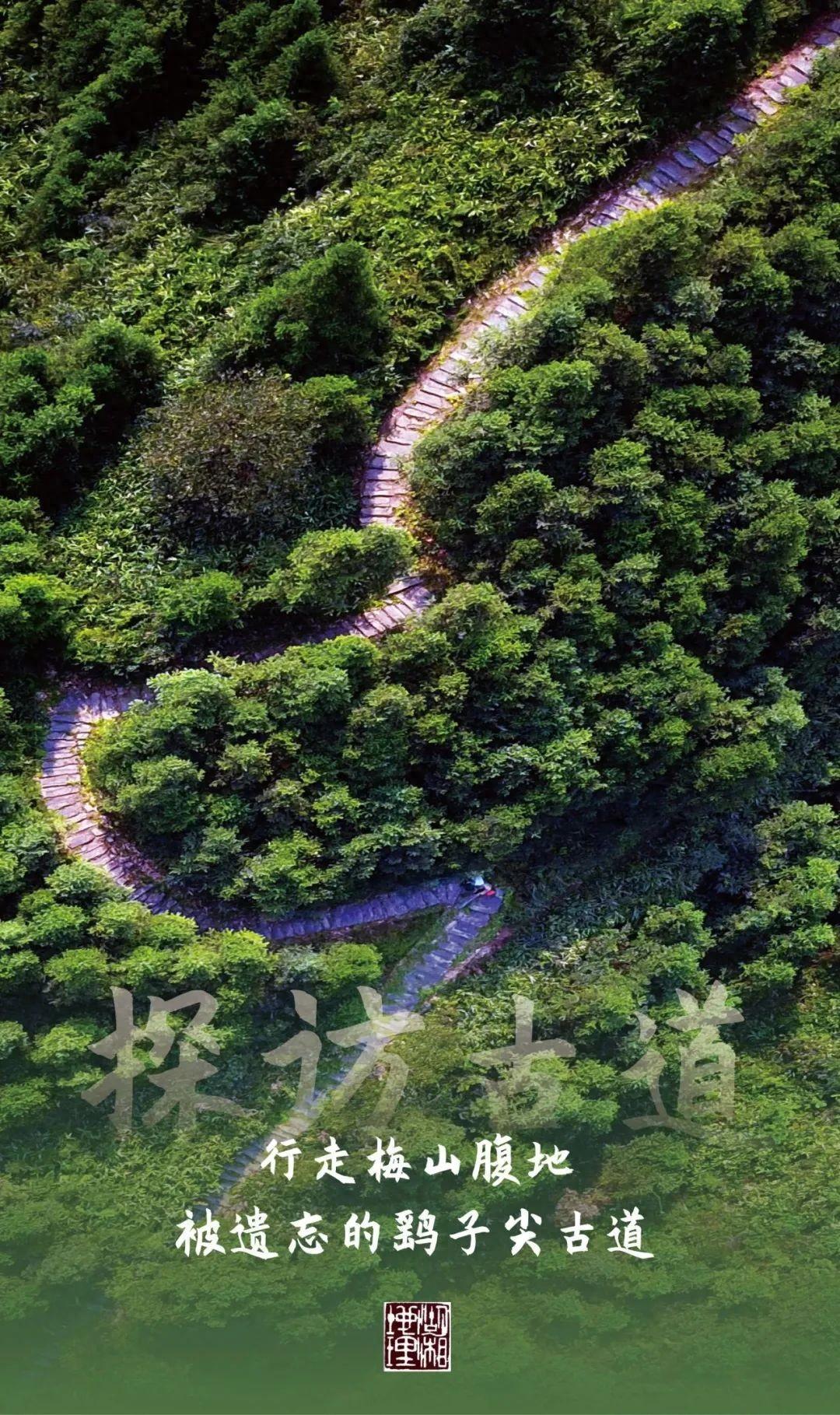 古道廋马_安化茶马古道旅游攻略_安化茶马古道好不好玩