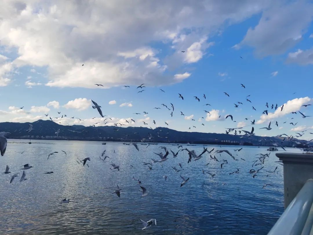 昆明景点攻略旅游去哪里好玩_旅游攻略昆明必去景点_昆明景点攻略旅游去哪里