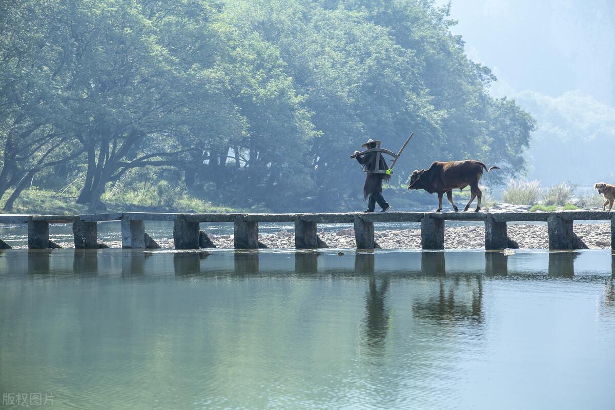 缙云丽水旅游景点大全_丽水缙云好玩吗_丽水缙云县城旅游攻略