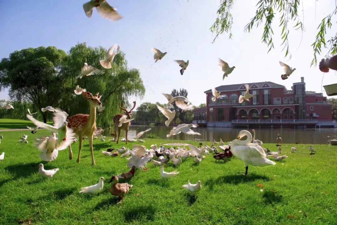 北京蓝地时尚庄园地址_北京蓝地集团怎么样_北京蓝地时尚庄园酒店
