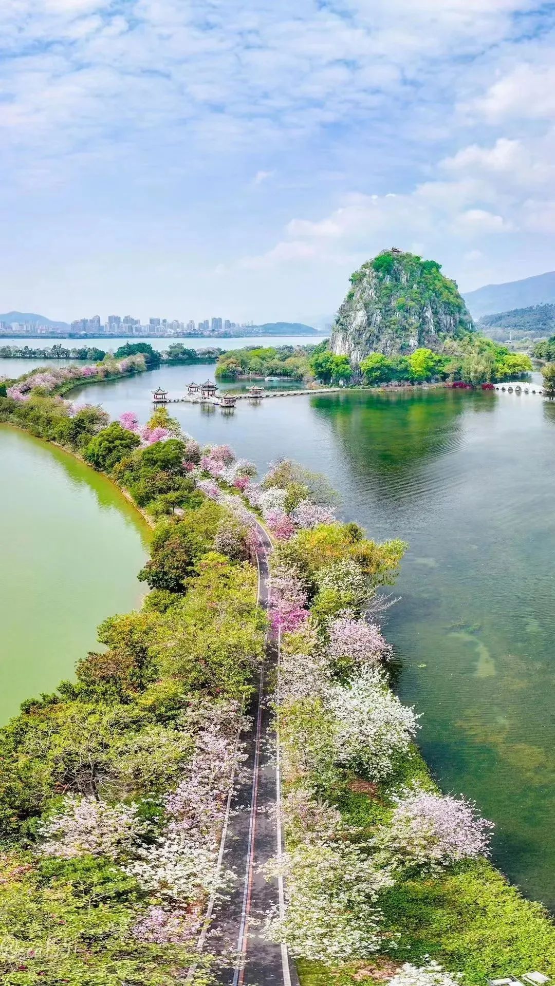 淋巴结肿大鼻咽癌是什么期_肇庆仙女湖旅游攻略_小猪钓鱼教案