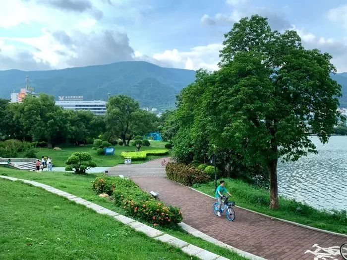 小猪钓鱼教案_淋巴结肿大鼻咽癌是什么期_肇庆仙女湖旅游攻略