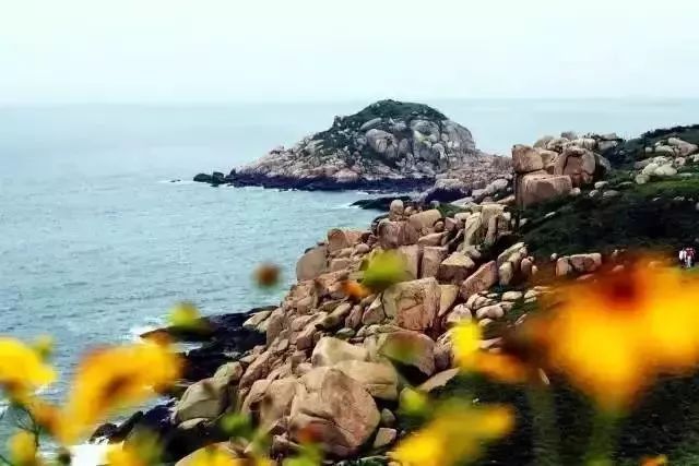 遂昌九龙山旅游攻略_遂昌九龙山自然保护区_九龙山遂昌