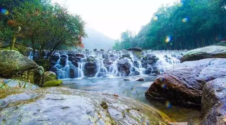 遂昌九龙山自然保护区_遂昌九龙山旅游攻略_九龙山遂昌