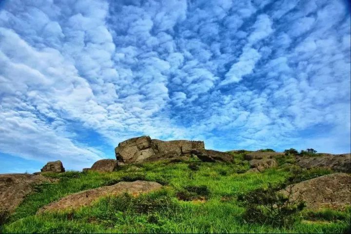 遂昌九龙山旅游攻略_九龙山遂昌_遂昌九龙山自然保护区