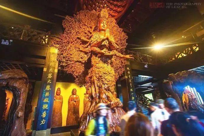 九龙山遂昌_遂昌九龙山自然保护区_遂昌九龙山旅游攻略