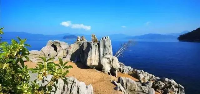 遂昌九龙山自然保护区_遂昌九龙山旅游攻略_九龙山遂昌