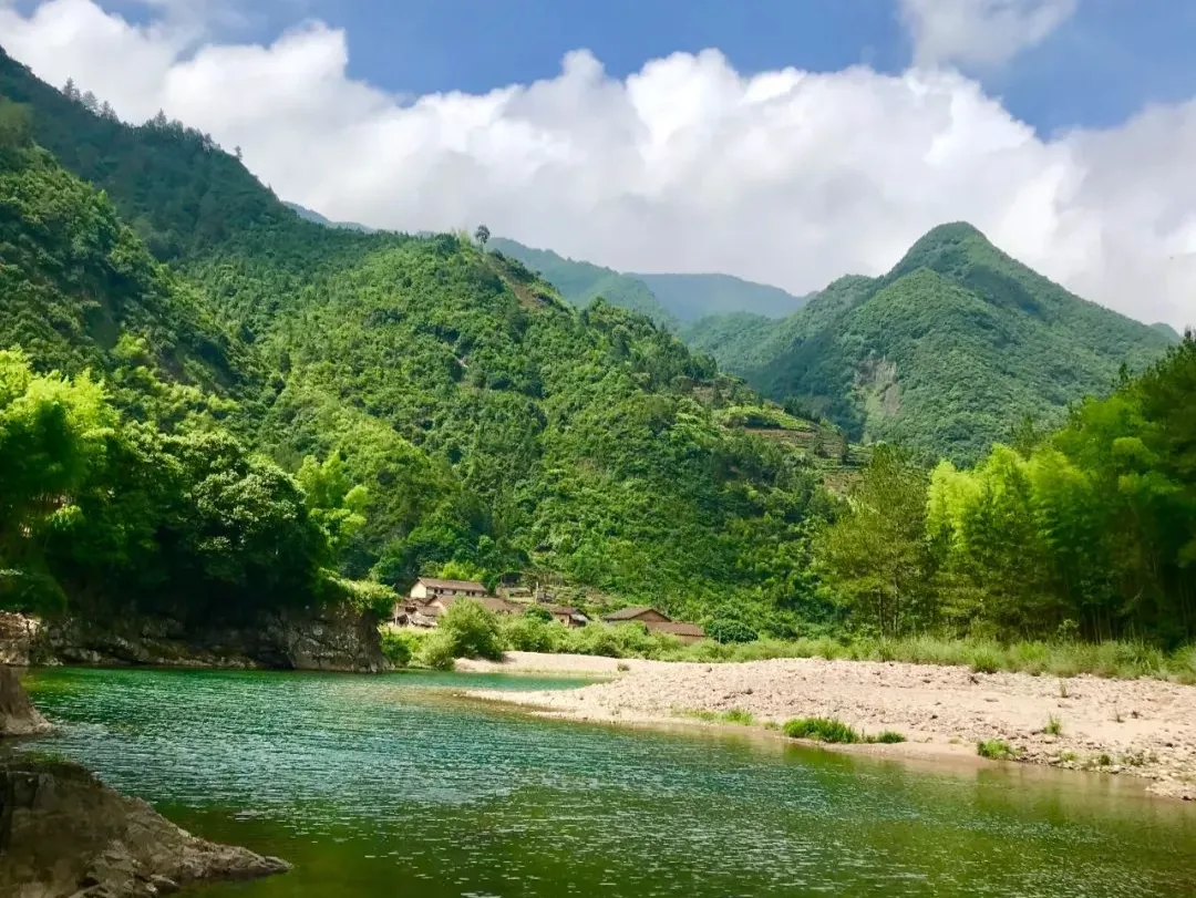 遂昌九龙山风景区攻略_遂昌九龙山海拔多少米_遂昌九龙山旅游攻略