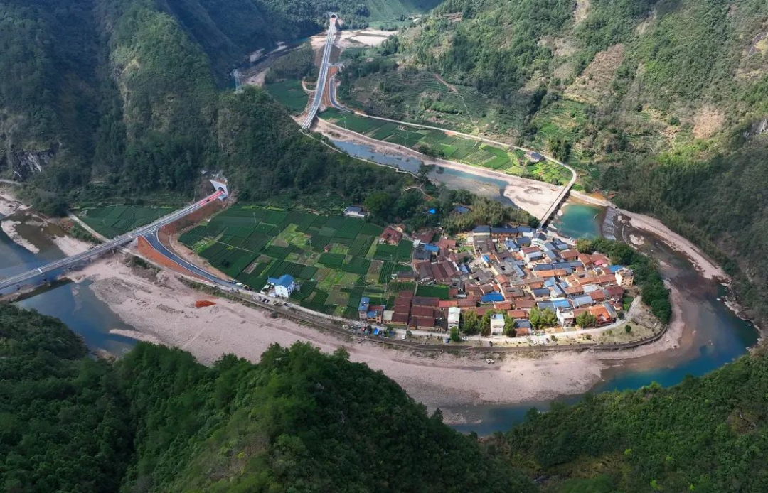 遂昌九龙山旅游攻略_遂昌九龙山风景区攻略_遂昌九龙山海拔多少米