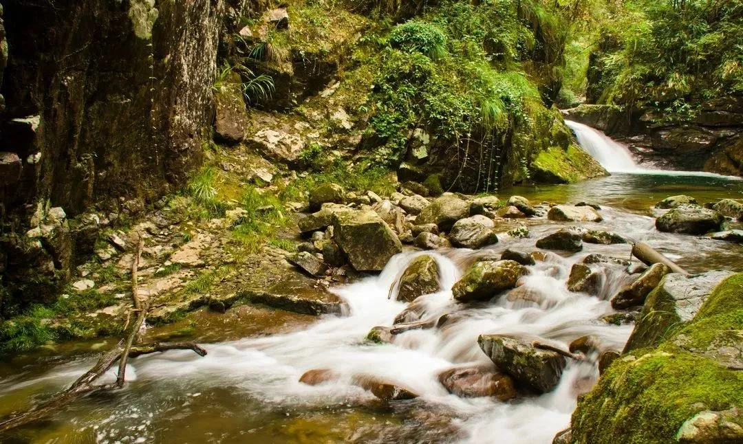 遂昌九龙山旅游攻略_遂昌九龙山风景区攻略_遂昌九龙山海拔多少米