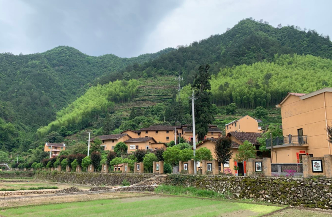 遂昌九龙山海拔多少米_遂昌九龙山旅游攻略_遂昌九龙山风景区攻略