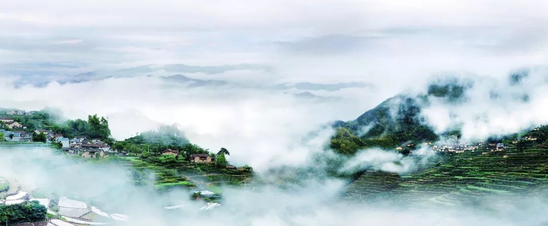 九龙山遂昌_遂昌九龙山国家森林公园攻略_遂昌九龙山旅游攻略