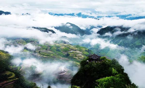 遂昌九龙山国家森林公园攻略_九龙山遂昌_遂昌九龙山旅游攻略