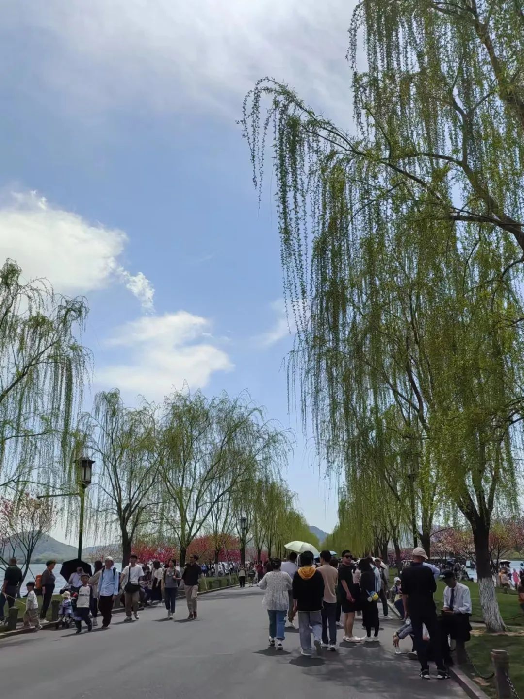 杭州几日游_杭州旅游1日游_杭州一日游旅游攻略