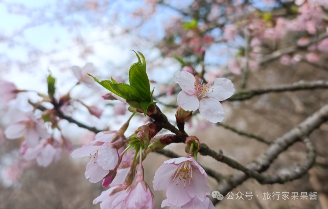 攻略日游杭州旅游路线_杭州几日游_杭州一日游旅游攻略