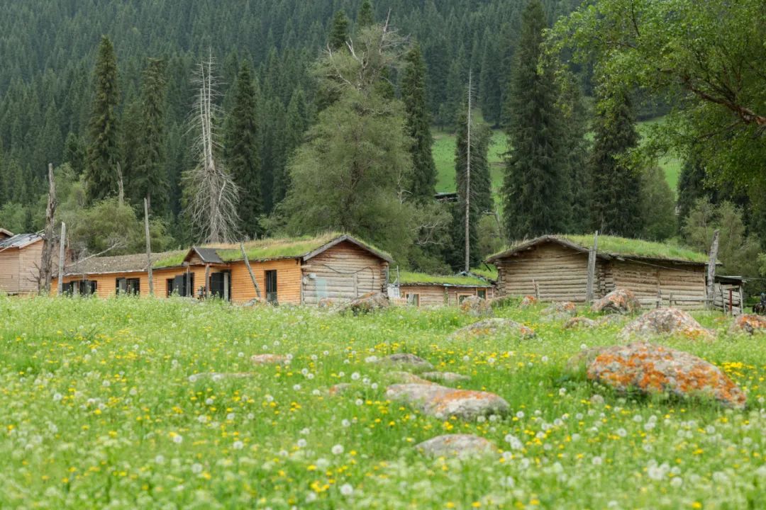 伊犁草原旅游最佳时间_伊犁草原旅游攻略_伊犁了旅游攻略