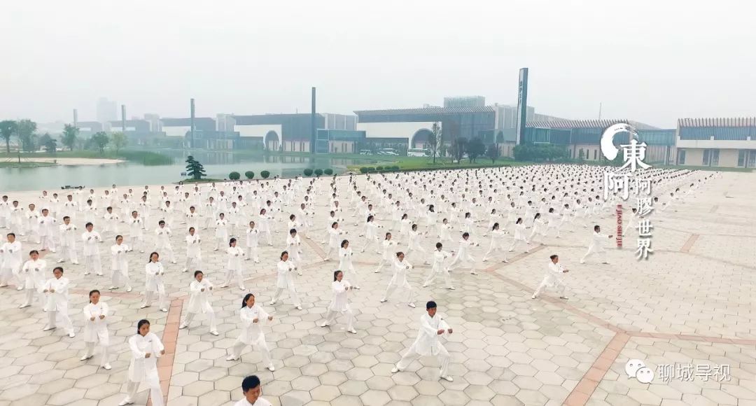 聊城攻略旅游景点大全_聊城旅游攻略_聊城攻略旅游景点