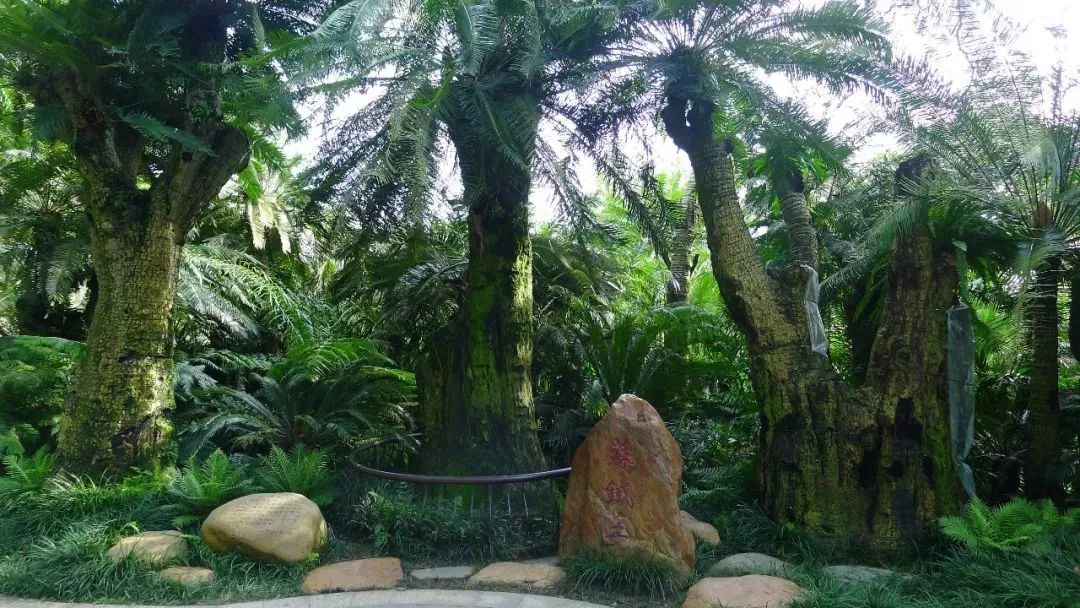 德天瀑布旅游团_自驾德天瀑布旅游攻略_游览德天瀑布