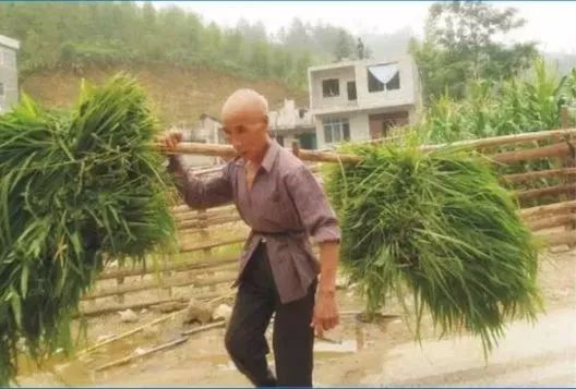 自驾德天瀑布旅游攻略_德天瀑布旅游团_游览德天瀑布