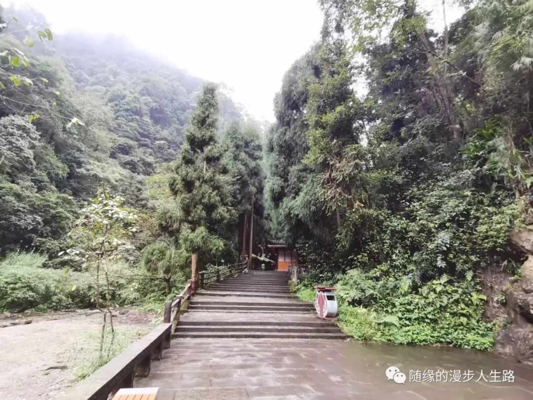 峨眉山景区自驾游_自驾峨眉山旅游攻略_峨眉山自驾游游攻略
