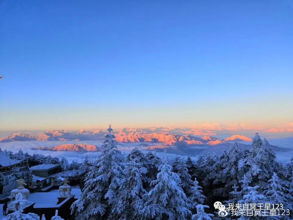 峨眉山自然猴区旅游攻略_峨眉山自然生态猴区介绍_峨眉山猴在哪