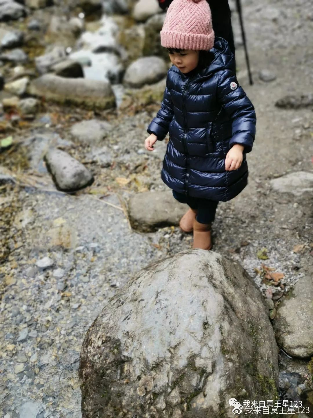 峨眉山自然猴区旅游攻略_峨眉山自然生态猴区介绍_峨眉山猴在哪