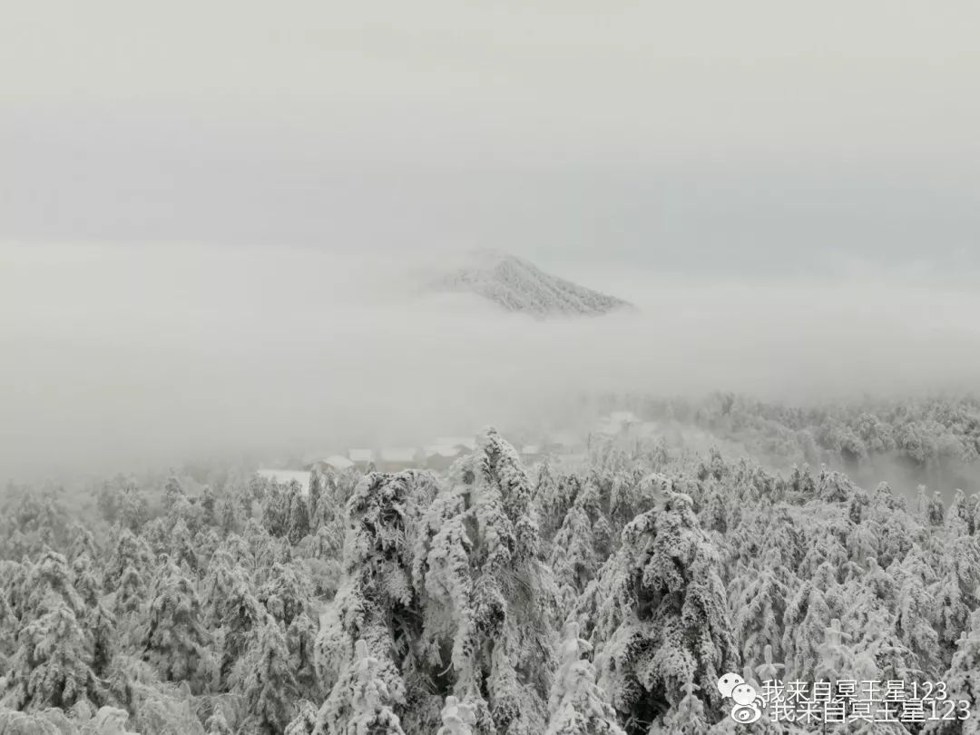 峨眉山自然生态猴区介绍_峨眉山自然猴区旅游攻略_峨眉山猴在哪