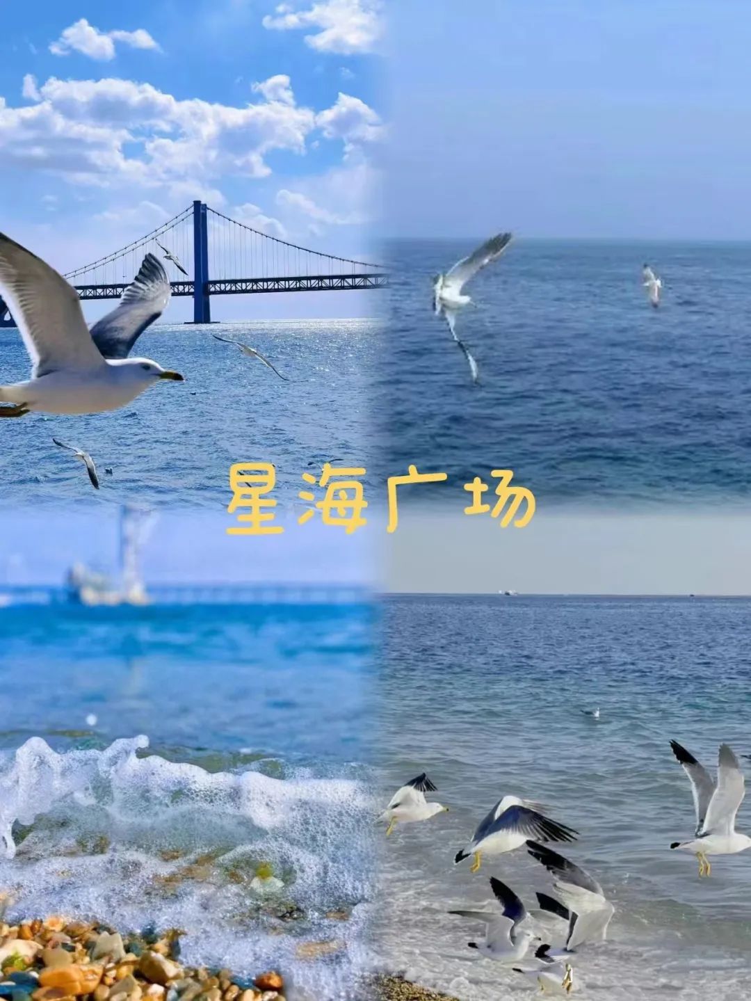 大连到蓬莱旅游攻略_大连蓬莱船票时刻表_大连蓬莱岛简介