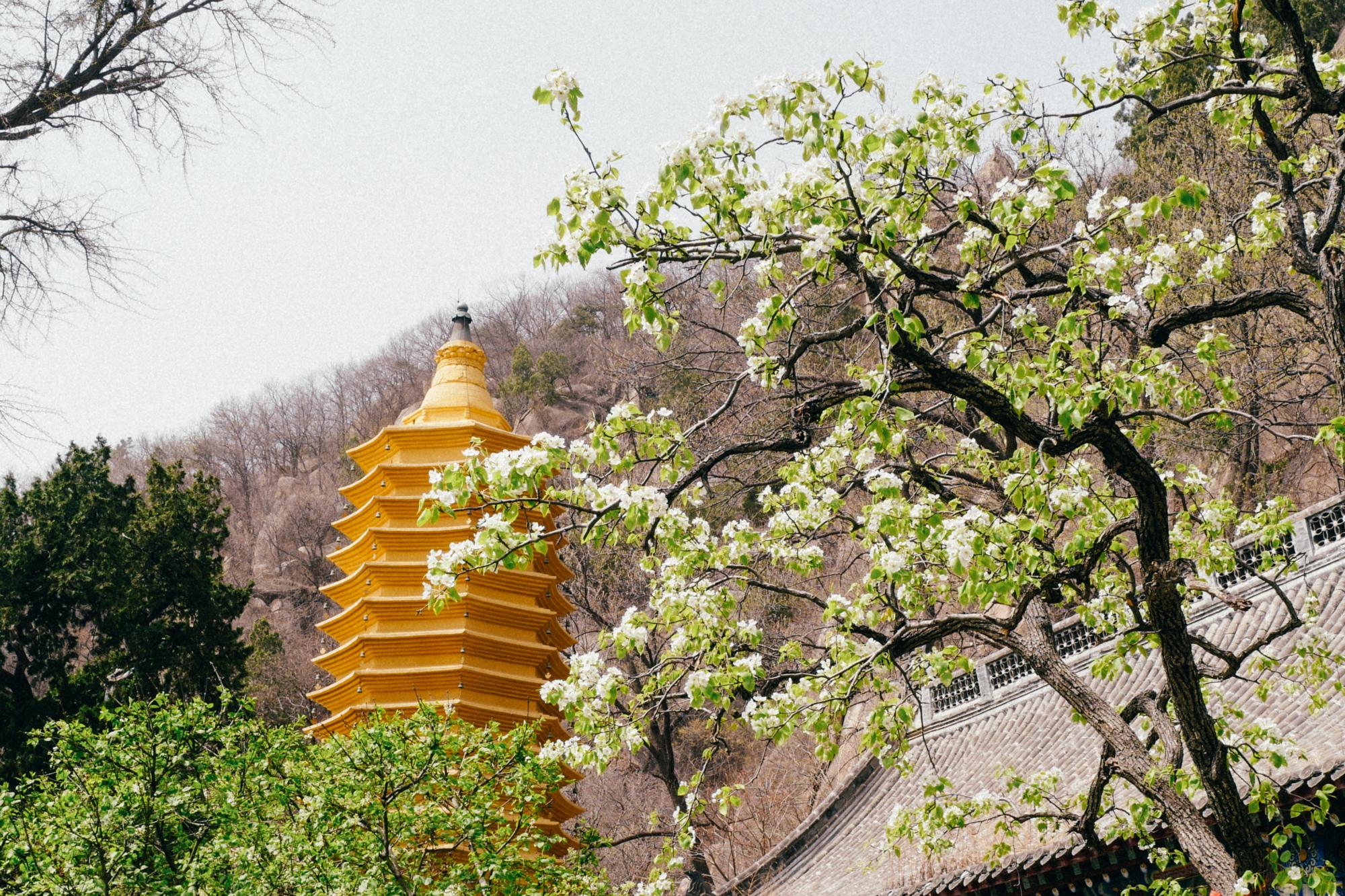 水库景区_于桥水库旅游攻略_水库大桥