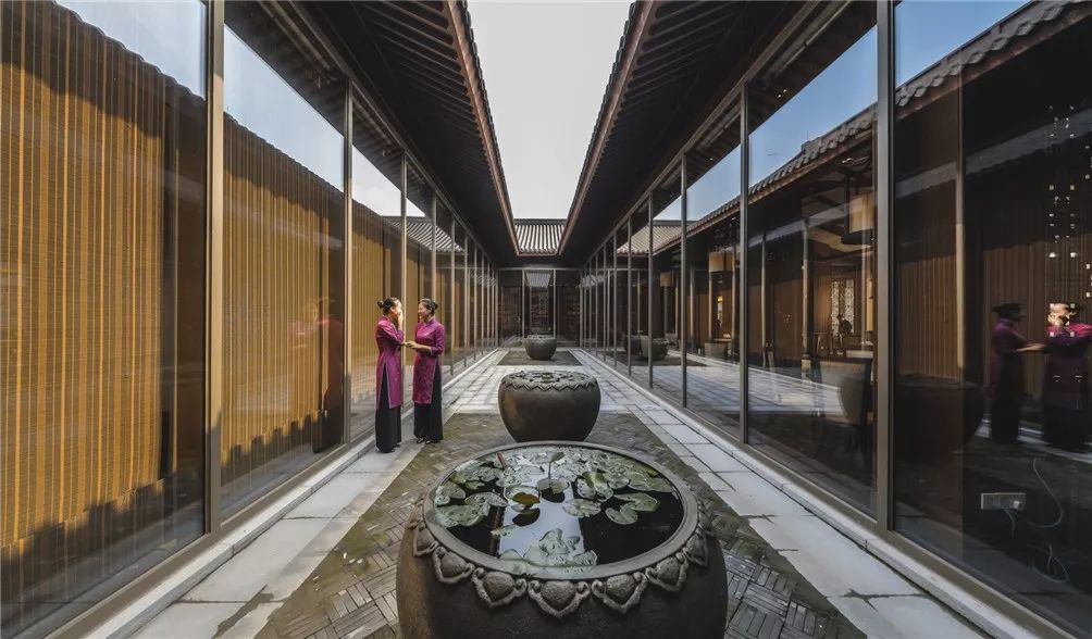 西溪湿地视频_西溪湿地的旅游攻略_西溪湿地景观