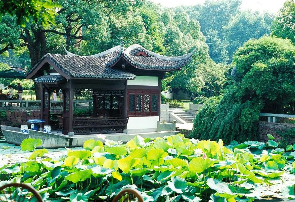 西溪湿地的旅游攻略_西溪湿地视频_西溪湿地景观