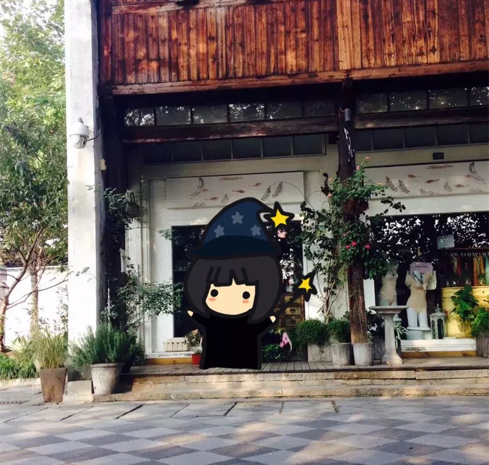西溪湿地的旅游攻略_西溪湿地视频_西溪湿地景观