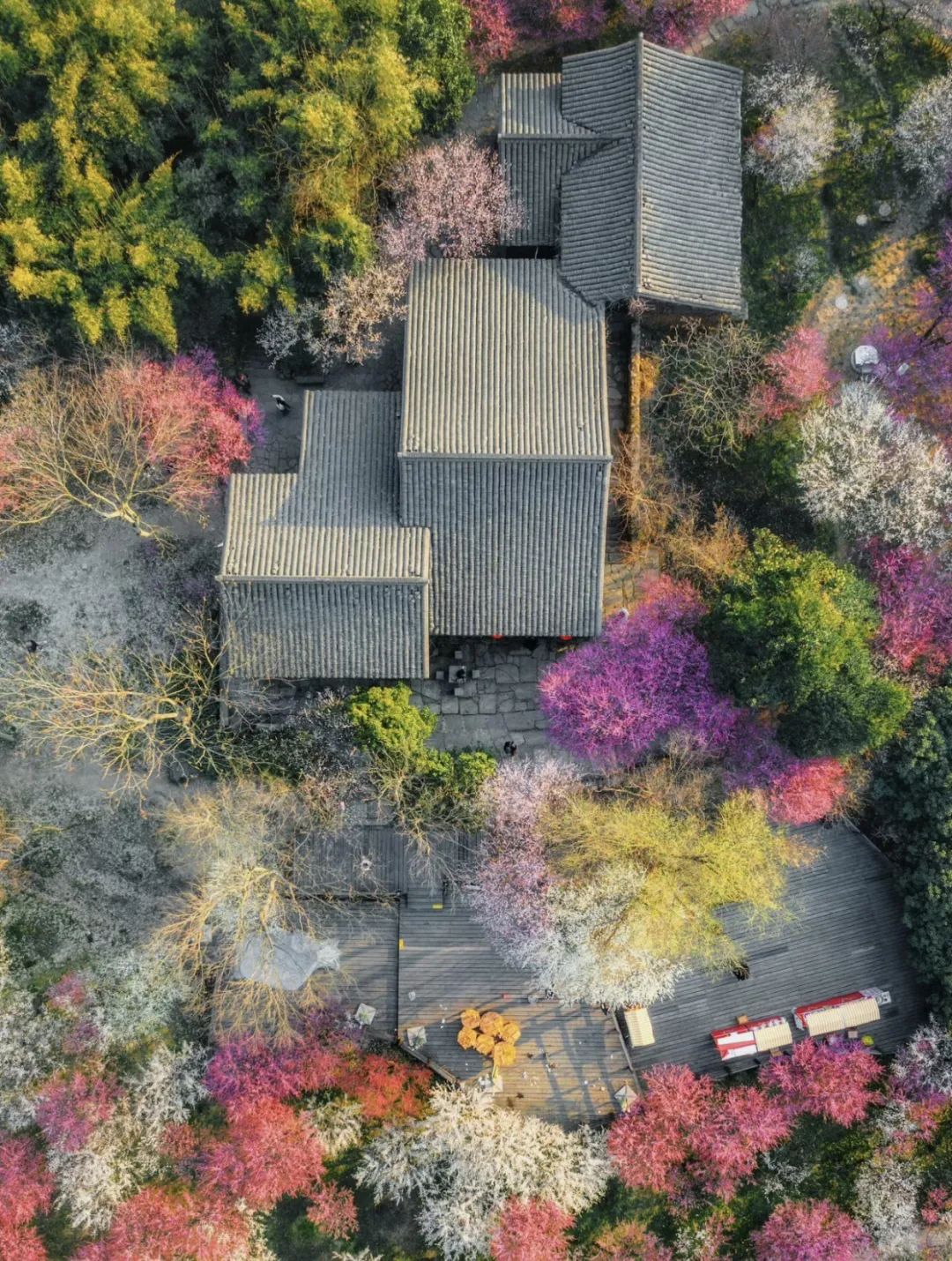 西溪湿地十景_西溪湿地的旅游攻略_西溪湿地定位