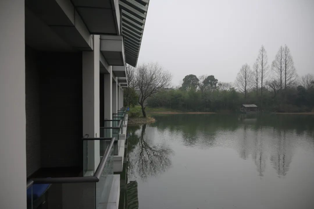 西溪湿地的旅游攻略_西溪湿地定位_西溪湿地十景